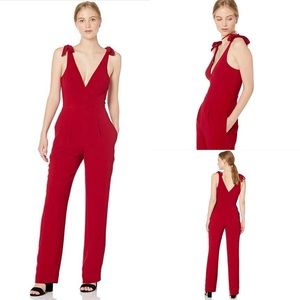 dress the population joey jumpsuit